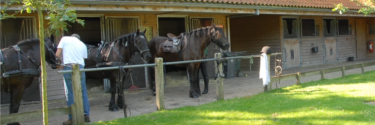 Hotel Landgoed Het Roode Koper - Manege